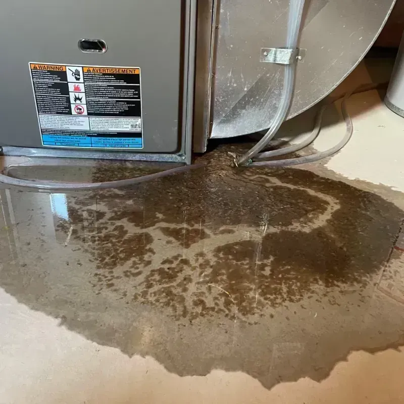 Appliance Leak Cleanup in Norridge, IL